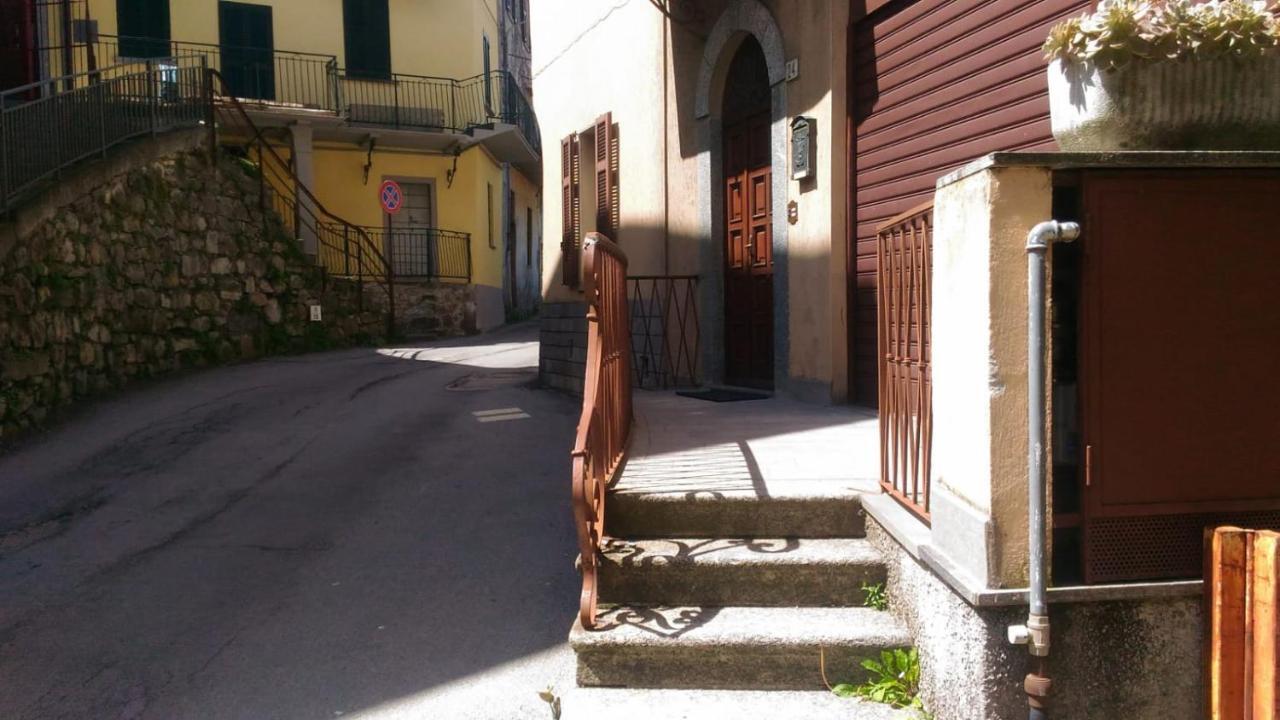 דירות נסו La Terrazza Sul Lago Di Como מראה חיצוני תמונה